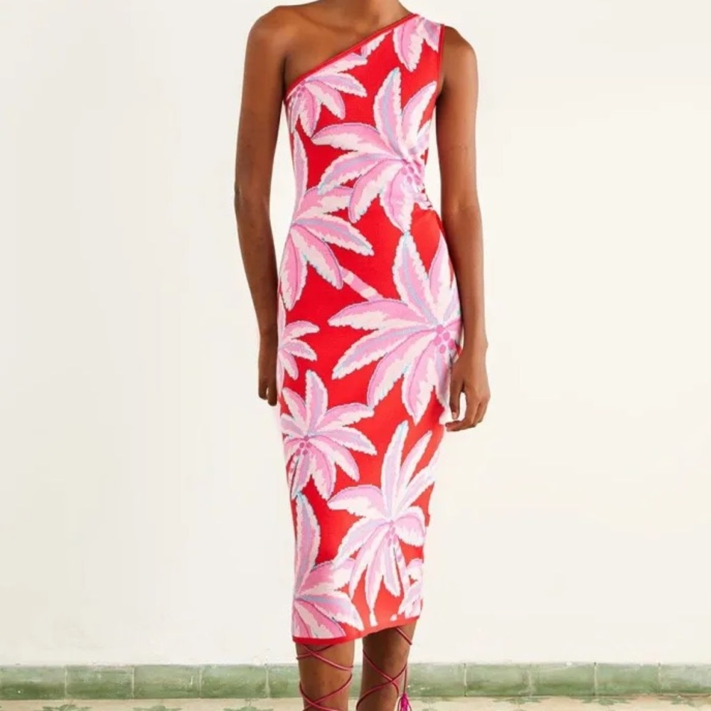 FARM Rio Red One-Shoulder Tropical Palm Maxi Dress with Pink Print - Picture 5 of 11